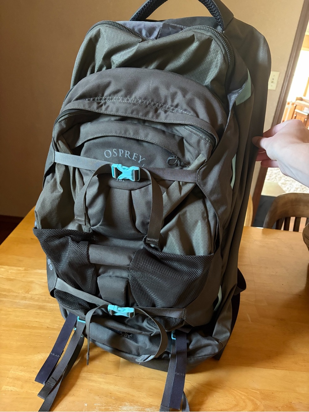 OSPREY Olive Green Backpack with Teal Buckles